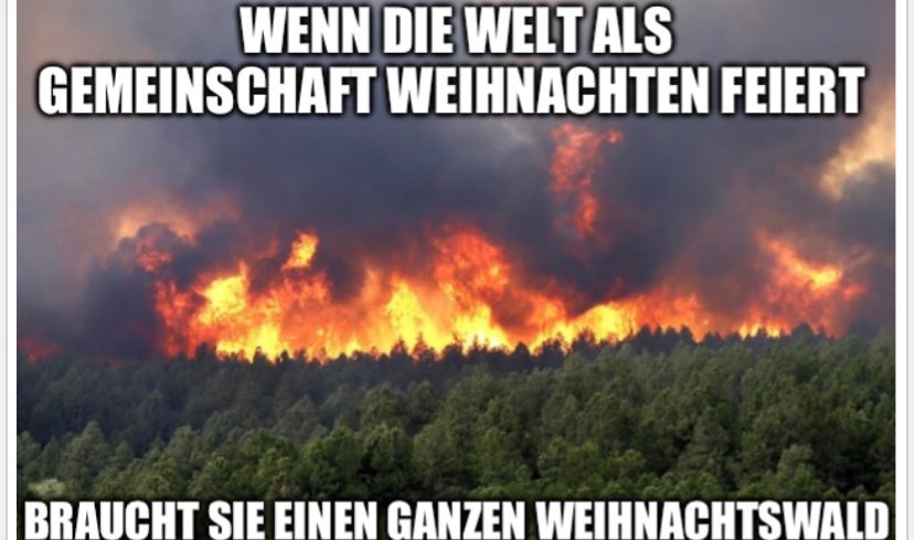 WENN DIE WELT ALS
GEMEINSCHAFT WEIHNACHTEN FEIERT
BRAUCHT SIE EINEN GANZEN WEIHNACHTSWALD