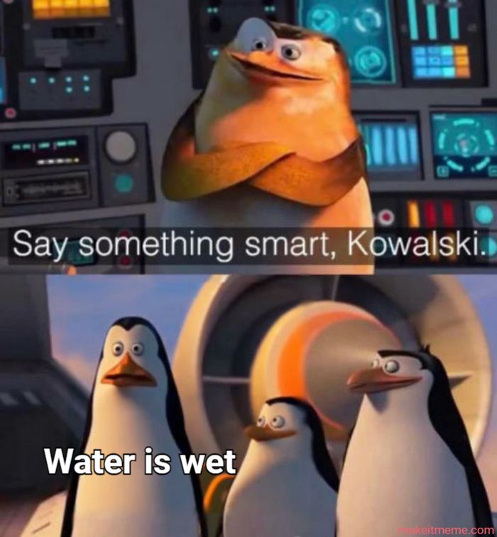 Say something smart, Kowalski.
Water is wet
makeitmeme.com