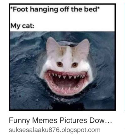 *Foot hanging off the bed*
My cat:
Funny Memes Pictures Dow...
suksesalaaku876.blogspot.com