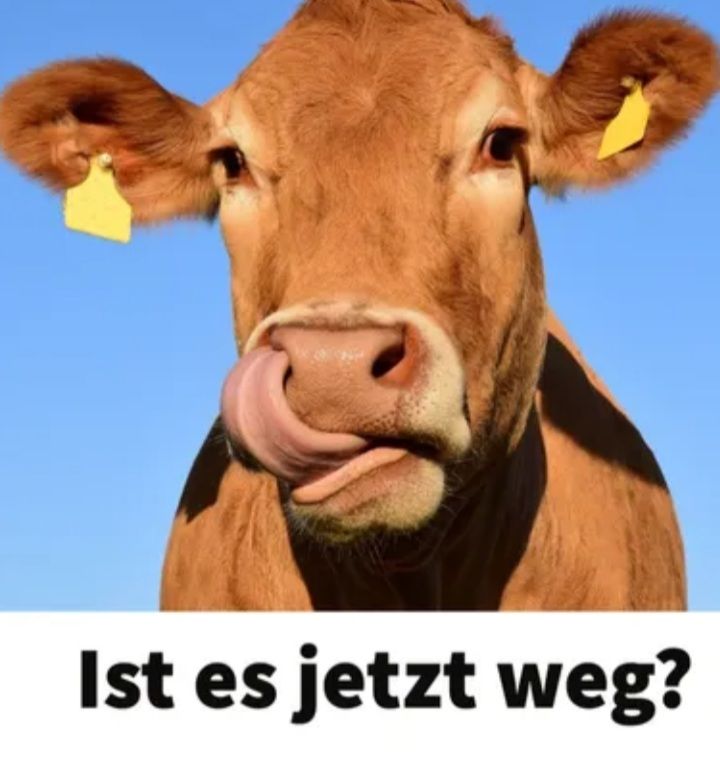 Ist es jetzt weg?