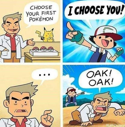 CHOOSE
YOUR FIRST
POKÉMON
I CHOOSE YOU!
OAK!
OAK!
SEPHKO