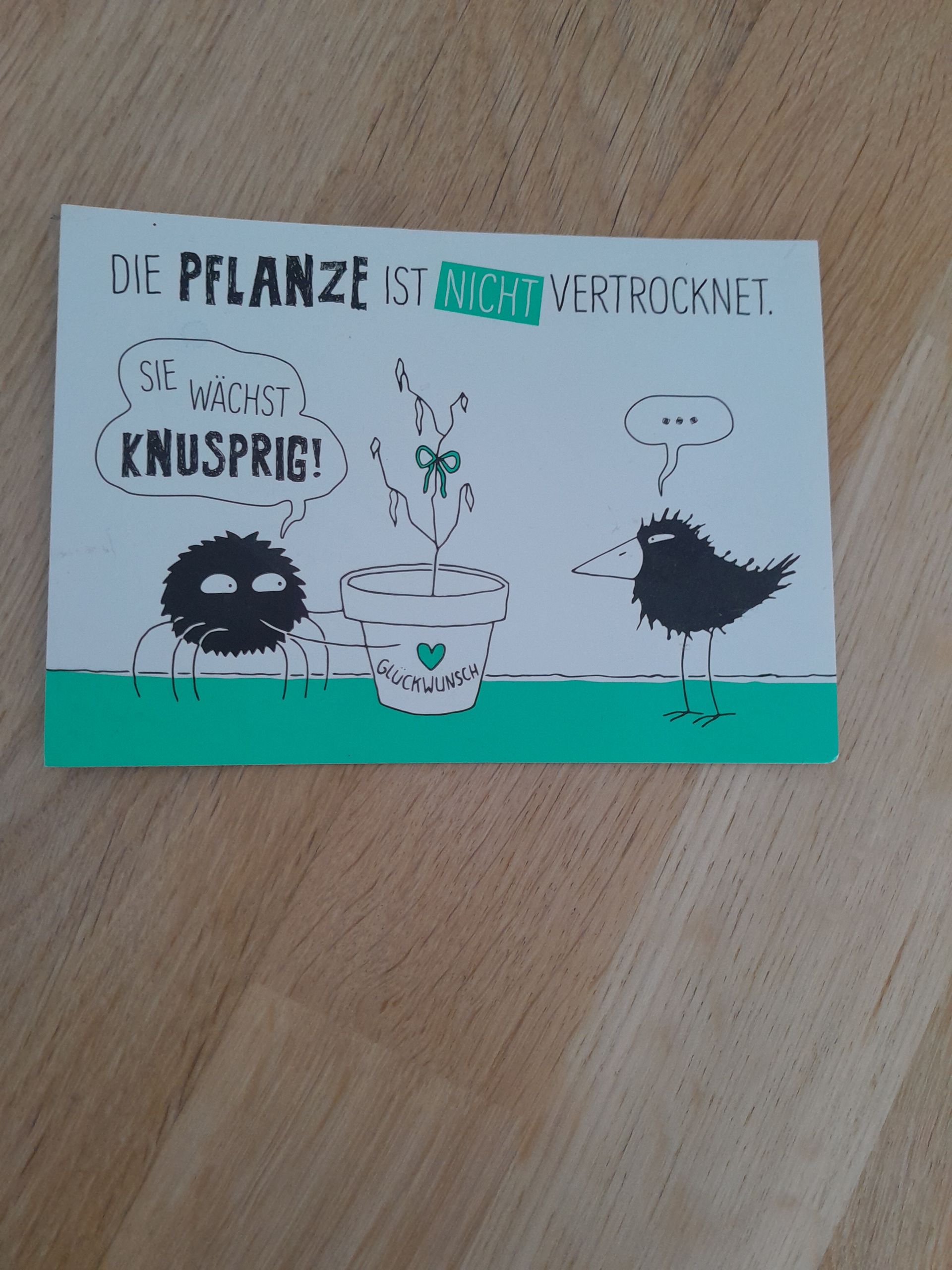 DIE PFLANZE IST NICHT VERTROCKNET.
SIE
WÄCHST
KNUSPRIG!
GLÜCKWUNSCH