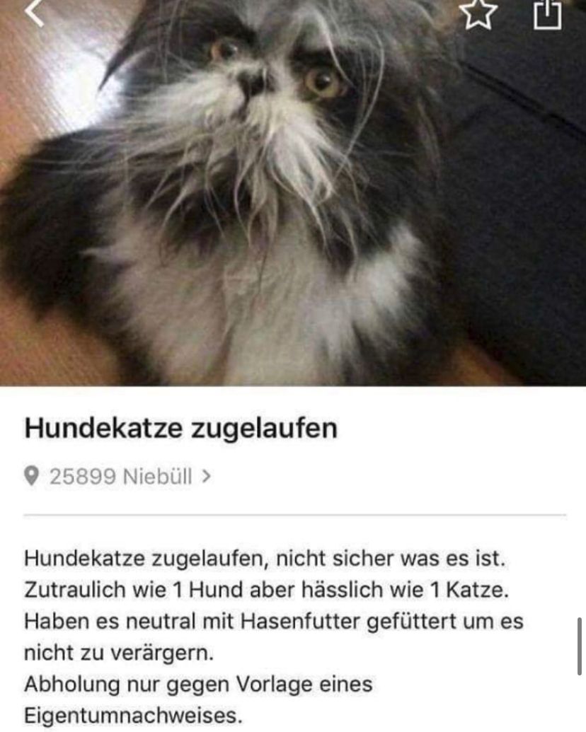 Hundekatze zugelaufen
25899 Niebüll >
Hundekatze zugelaufen, nicht sicher was es ist.
Zutraulich wie 1 Hund aber hässlich wie 1 Katze.
Haben es neutral mit Hasenfutter gefüttert um es
nicht zu verärgern.
Abholung nur gegen Vorlage eines
Eigentumnachweises.
山