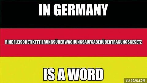 IN GERMANY
RINDFLEISCHETIKETTIERUNGSÜBERWACHUNGSAUFGABENÜBERTRAGUNGSGESETZ
IS A WORD
VIA 9GAG.COM