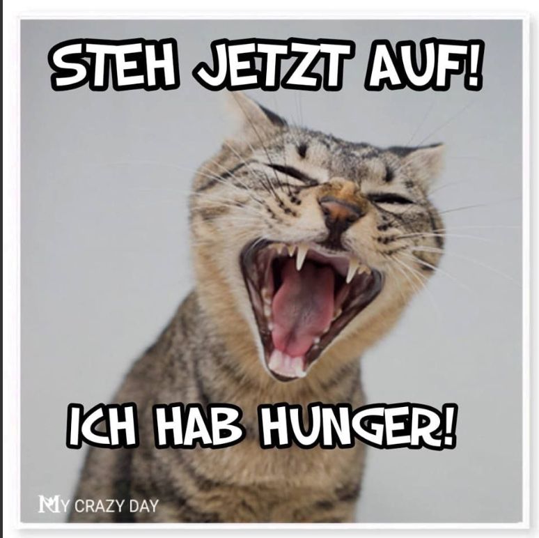 STEH JETZT AUF!
ICH HAB HUNGER!
MY CRAZY DAY