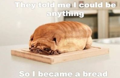 They told me I could be
anything
So I became a bread