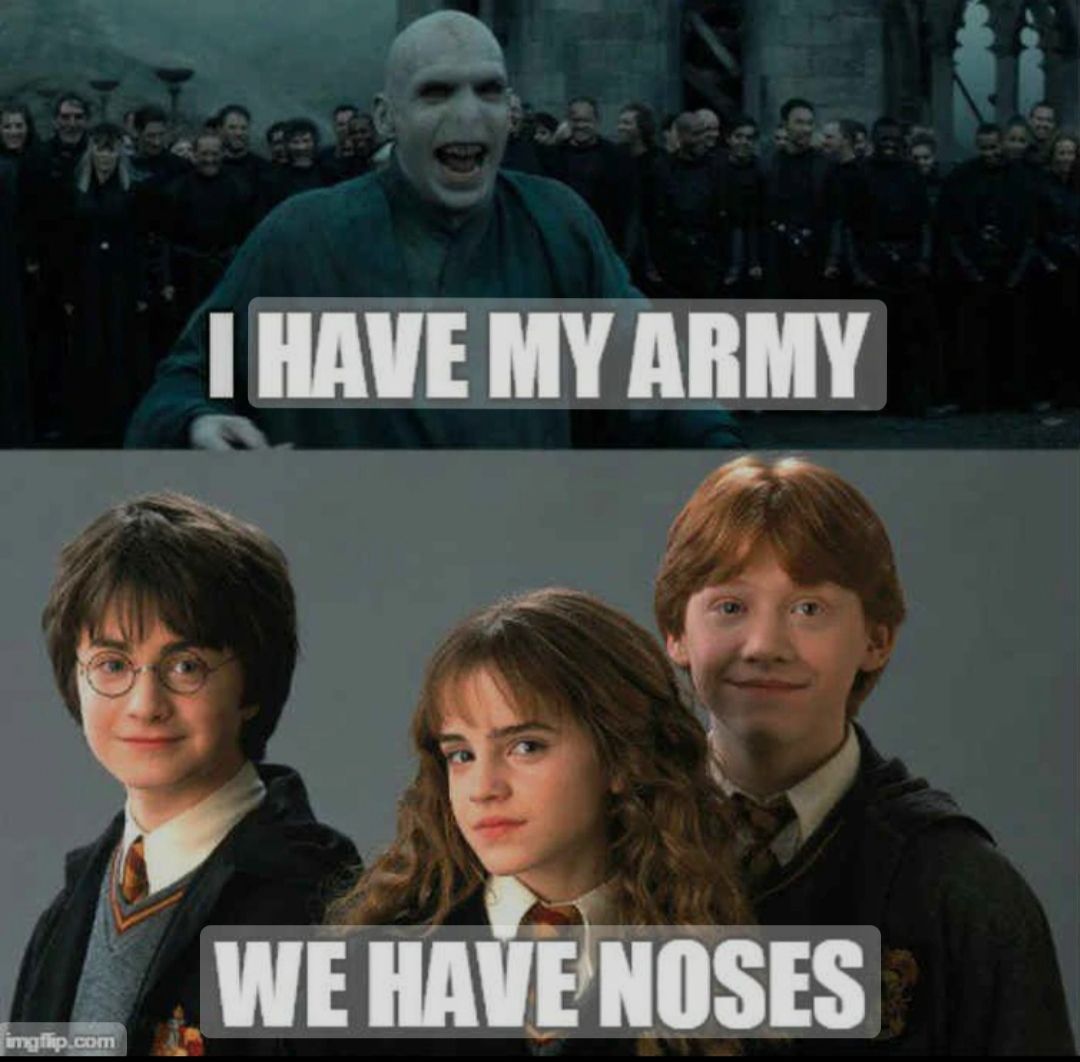 Ein zweiteiliges Bild, das in der oberen Hälfte Voldemort mit einer Armee im Hintergrund zeigt, zusammen mit dem Text "I HAVE MY ARMY". Die untere Hälfte zeigt Harry Potter, Hermine Granger und Ron Weasley mit dem Text "WE HAVE NOSES".