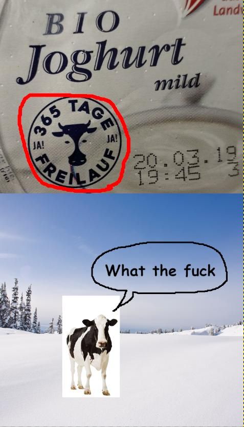 hie
IDI,
BIO
Joghurt
FCK
365
TAGE
FRE
JA!
AUF
mild
Land
20.03.19
19:45
OM
What the fuck