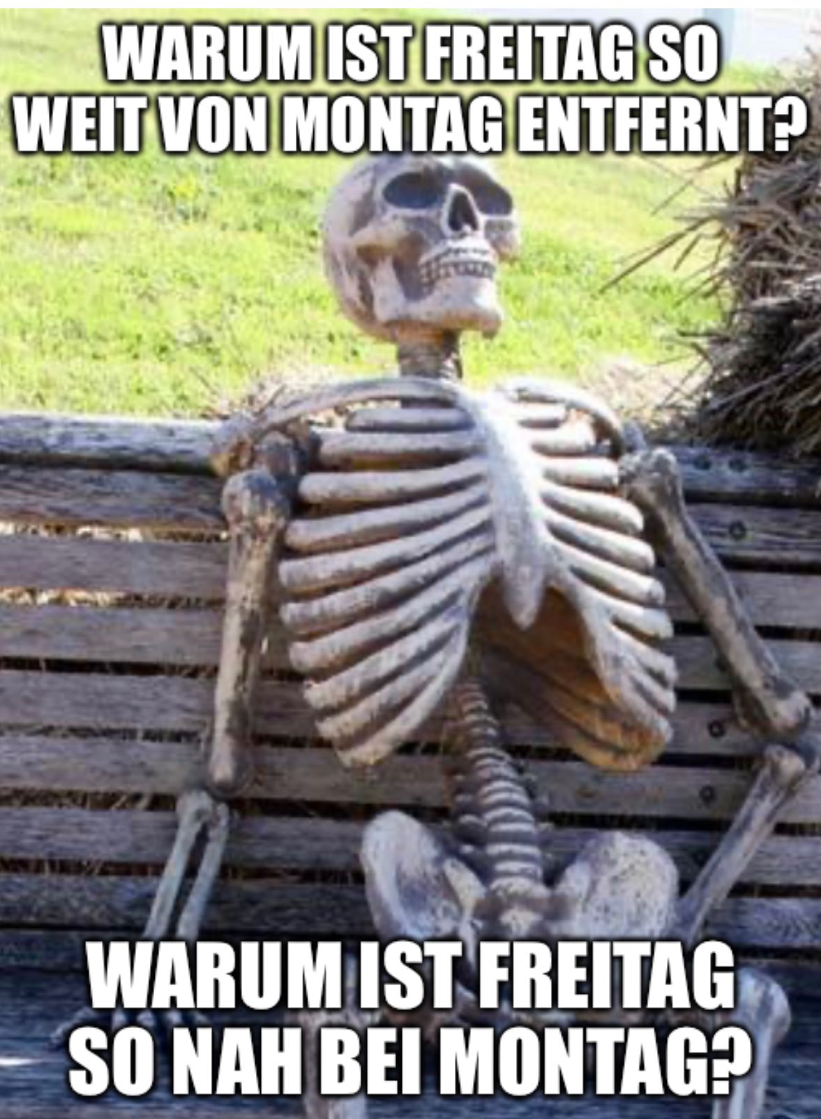 WARUM IST FREITAG SO
WEIT VON MONTAG ENTFERNT?
WARUM IST FREITAG
SO NAH BEI MONTAG?