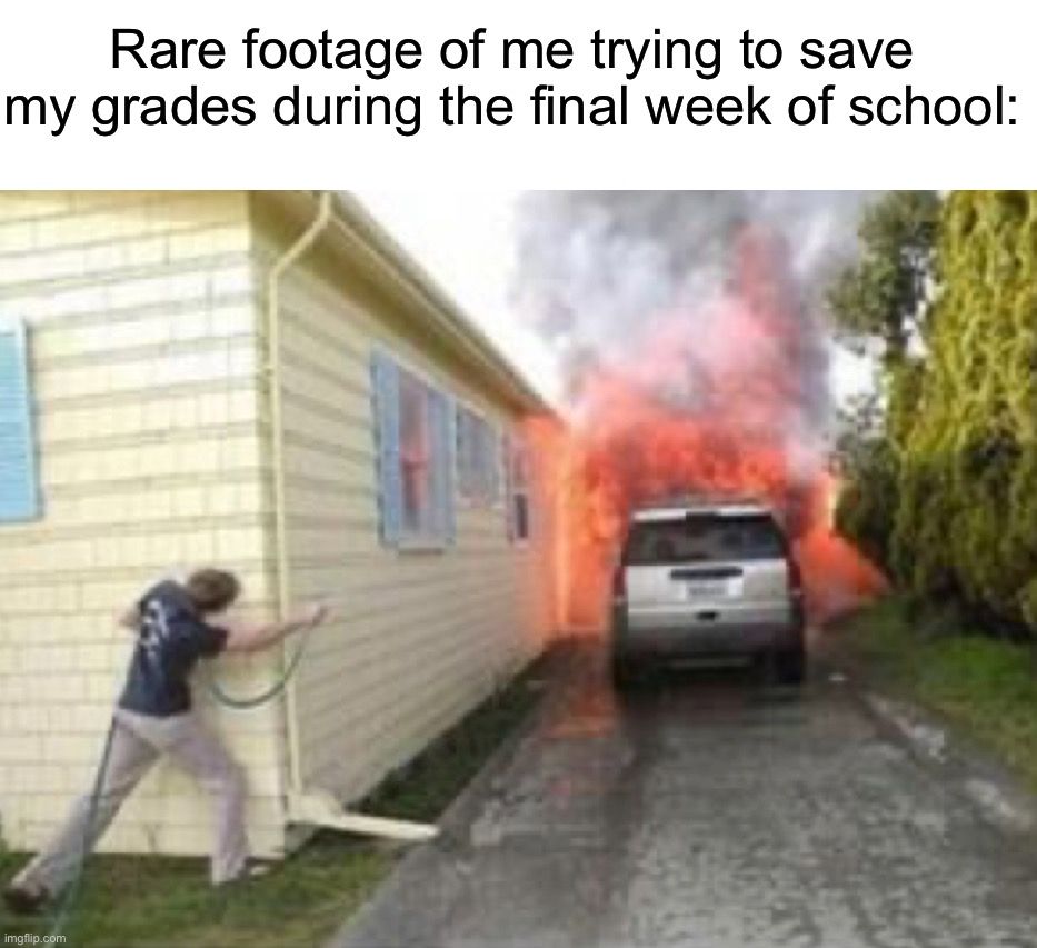 Rare footage of me trying to save
my grades during the final week of school:
imgflip.com