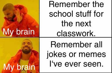 My brain
My brain
Remember the
school stuff for
the next
classwork.
Remember all
jokes or memes
I've ever seen.