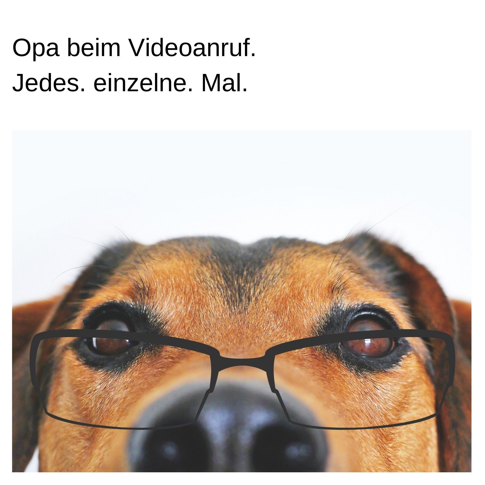 Opa beim Videoanruf.
Jedes. einzelne. Mal.