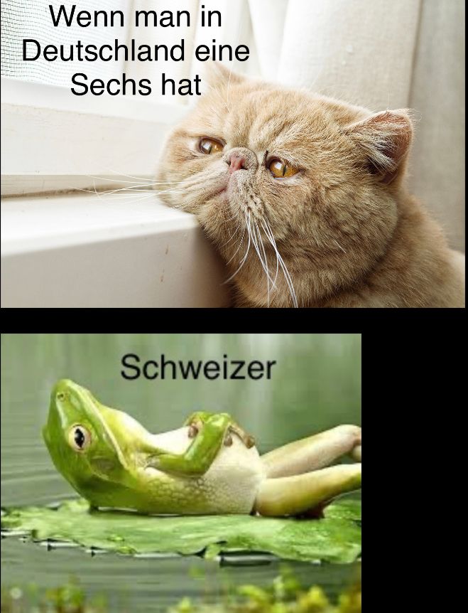 Wenn man in
Deutschland eine
Sechs hat
Schweizer