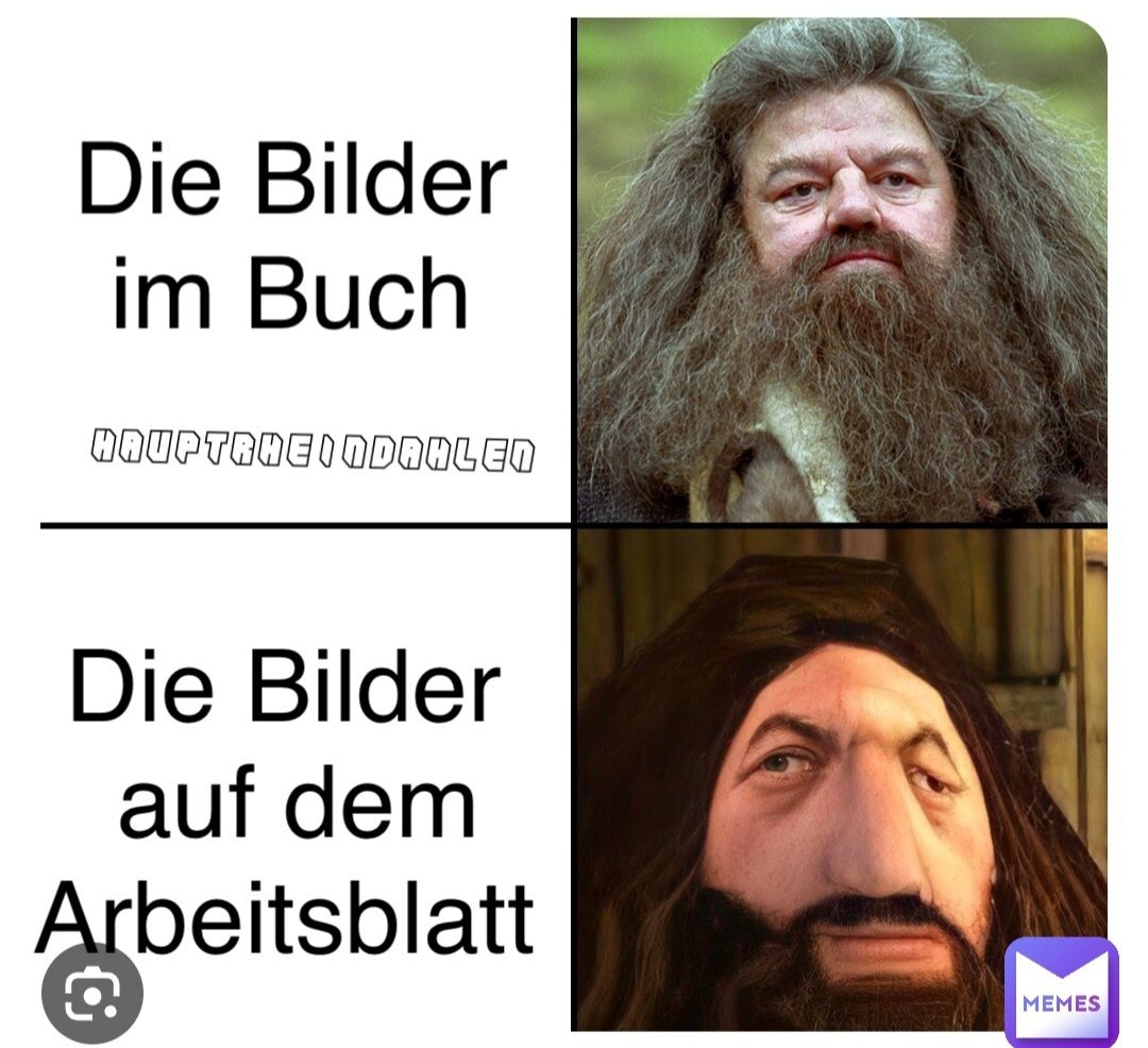 Die Bilder
im Buch
HAUPTRHEINDAHLEN
Die Bilder
auf dem
Arbeitsblatt
MEMES
S