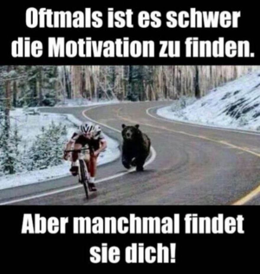 Oftmals ist es schwer
die Motivation zu finden.
Aber manchmal finde
sie dich!