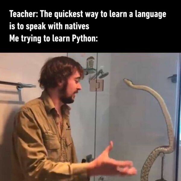 Teacher: The quickest way to learn a language
is to speak with natives
Me trying to learn Python:
D