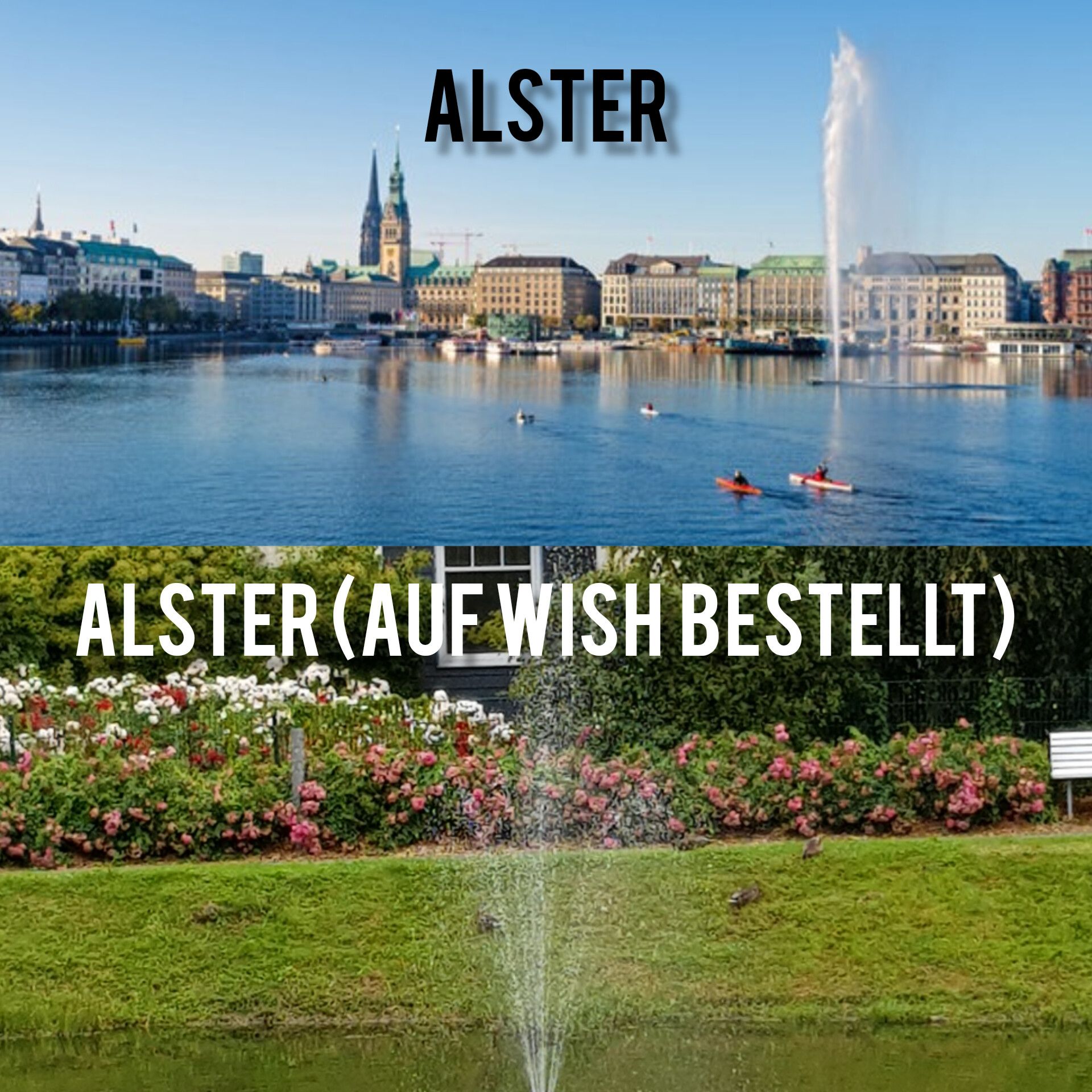 ALSTER
ALSTER (AUF WISH BESTELLT)