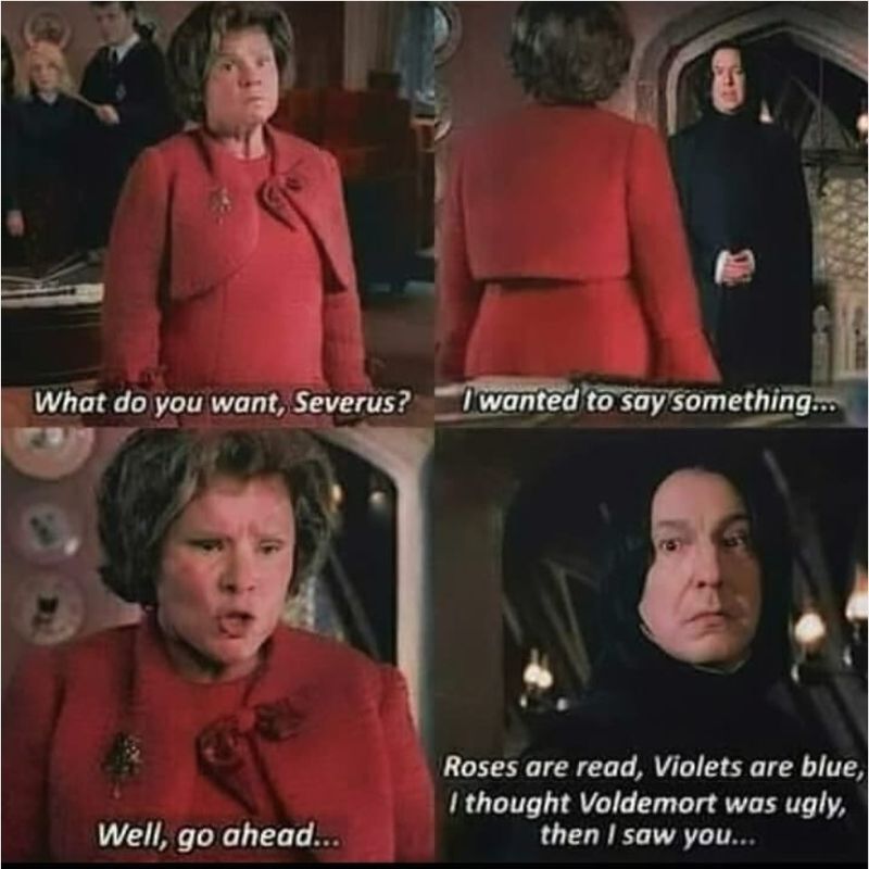 What do you want, Severus?
Well, go ahead...
I wanted to say something...
Roses are read, Violets are blue,
I thought Voldemort was ugly,
then I saw you...