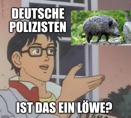 DEUTSCHE
POLIZISTEN
imgflip.com
IST DAS EIN LÖWE?