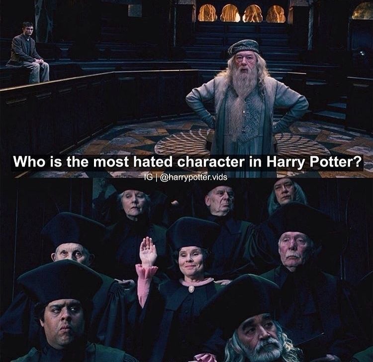 Who is the most hated character in Harry Potter?
IG | @harrypotter.vids