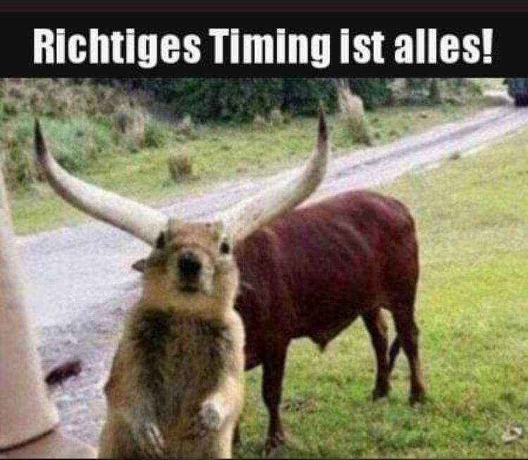 Richtiges Timing ist alles!