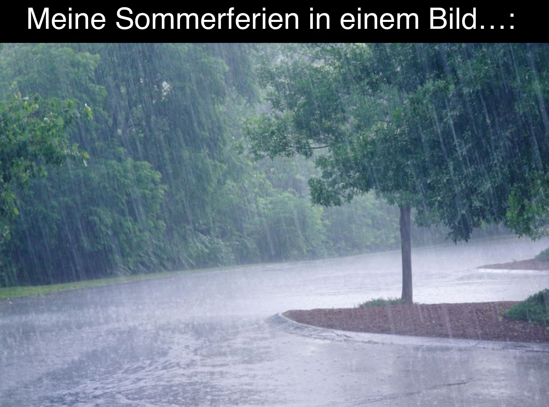 Meine Sommerferien in einem Bild...: