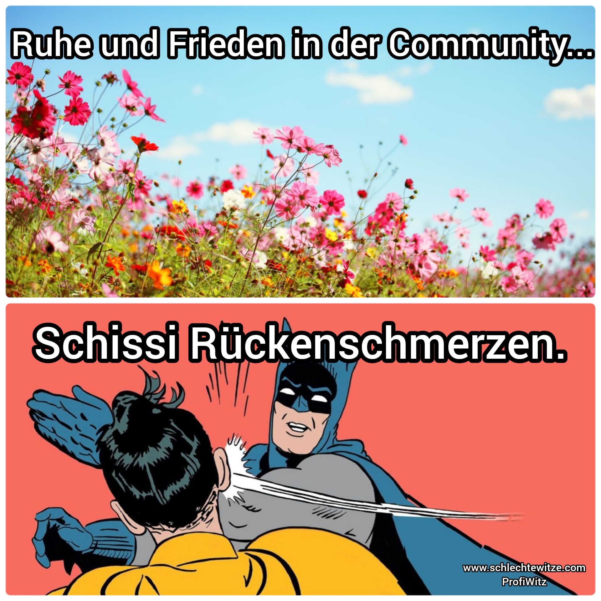 Ruhe und Frieden in der Community...
Schissi Rückenschmerzen.
www.schlechtewitze.com
ProfiWitz