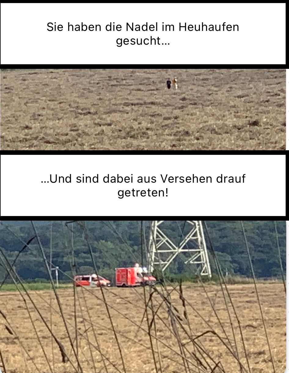 Sie haben die Nadel im Heuhaufen
gesucht...
... Und sind dabei aus Versehen drauf
getreten!