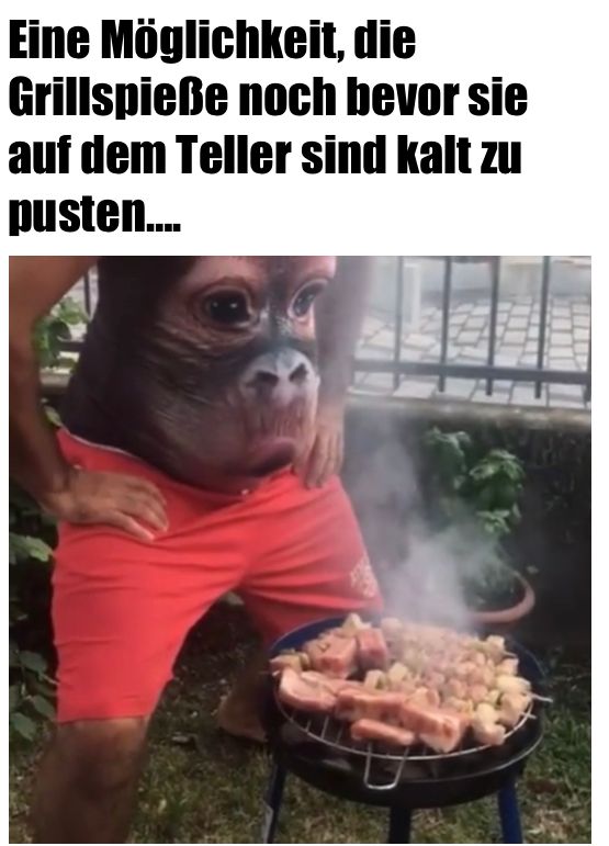 Eine Möglichkeit, die
Grillspieße noch bevor sie
auf dem Teller sind kalt zu
pusten....