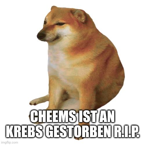 CHEEMS IST AN
KREBS GESTORBEN R.I.P.
