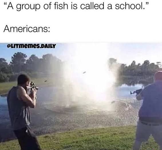 "A group of fish is called a school."
Americans:
@LITMEMES.DAILY