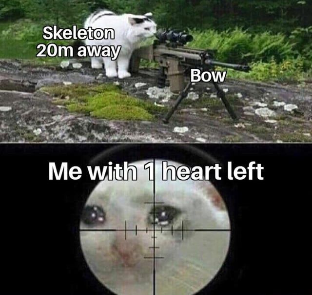 Skeleton
20m away
Bow
Me with 1 heart left