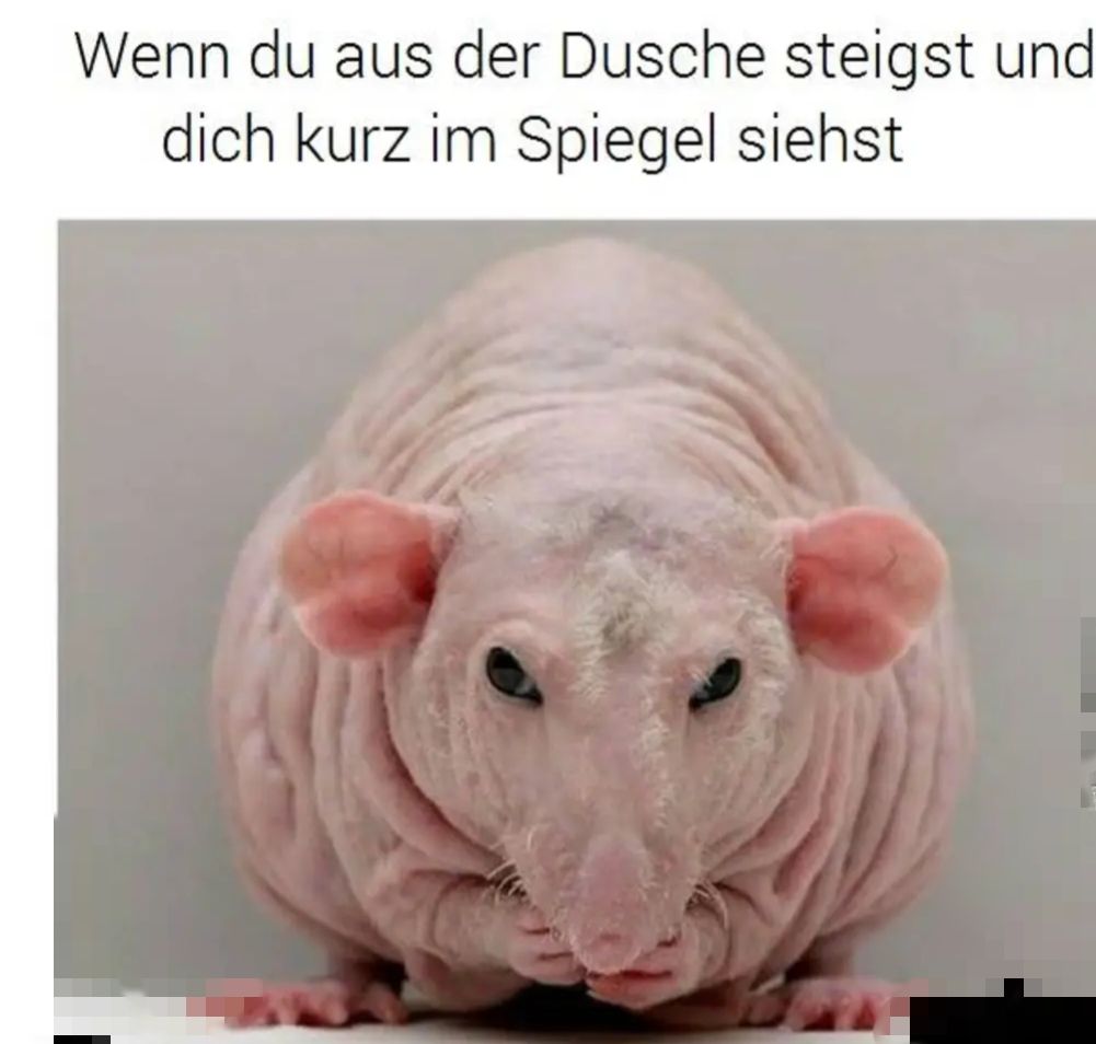 Wenn du aus der Dusche steigst und
dich kurz im Spiegel siehst