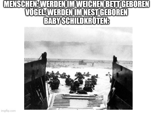 Das Bild zeigt eine Schwarz-Weiß-Fotografie von Soldaten, die während einer Landung an einem Strand aus einem Landungsboot steigen. Sie waten durch das Wasser zum Strand. Über dem Bild steht der Text: "MENSCHEN: WERDEN IM WEICHEN BETT GEBOREN VÖGEL: WERDEN IM NEST GEBOREN BABY SCHILDKRÖTEN:".