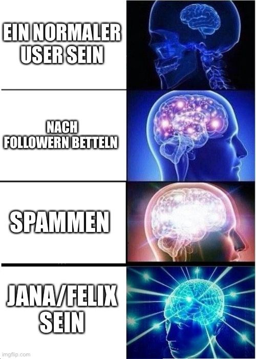 EIN NORMALER
USER SEIN
NACH
FOLLOWERN BETTELN
SPAMMEN
JANA/FELIX
SEIN
