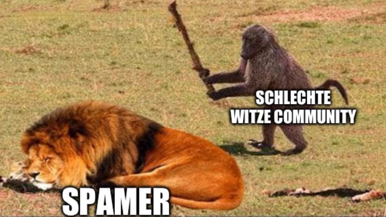 SPAMER
SCHLECHTE
WITZE COMMUNITY