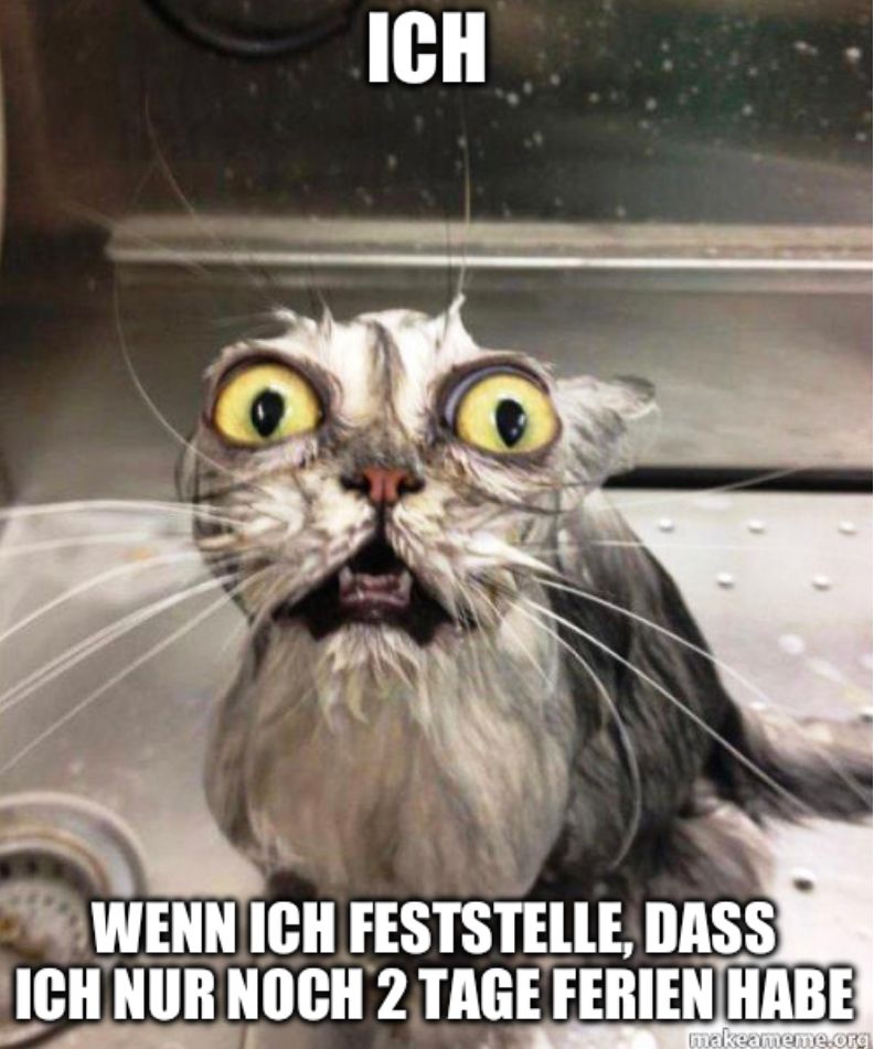 ICH
WENN ICH FESTSTELLE, DASS
ICH NUR NOCH 2 TAGE FERIEN HABE
makeameme.org