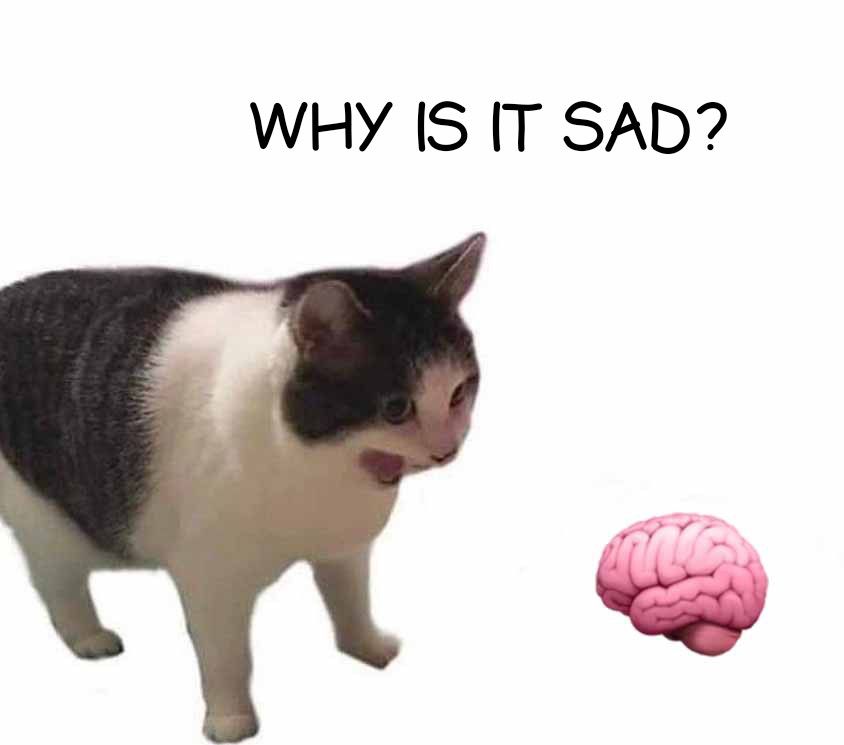 G
WHY IS IT SAD?
u