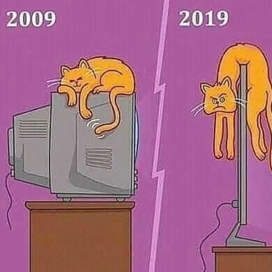 2009
2019