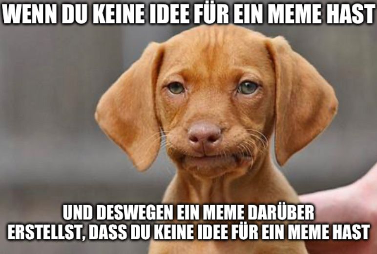 WENN DU KEINE IDEE FÜR EIN MEME HAST
UND DESWEGEN EIN MEME DARÜBER
ERSTELLST, DASS DU KEINE IDEE FÜR EIN MEME HAST