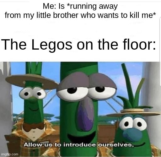 Me: Is *running away
from my little brother who wants to kill me*
The Legos on the floor:

Allow us to introduce ourselves,