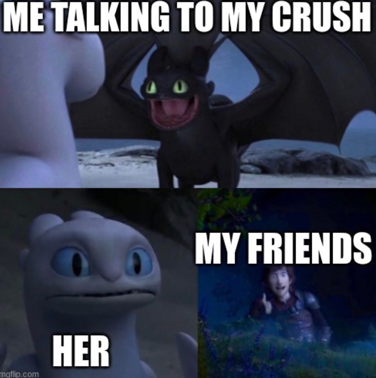 ME TALKING TO MY CRUSH
mgflip.com
HER
MY FRIENDS