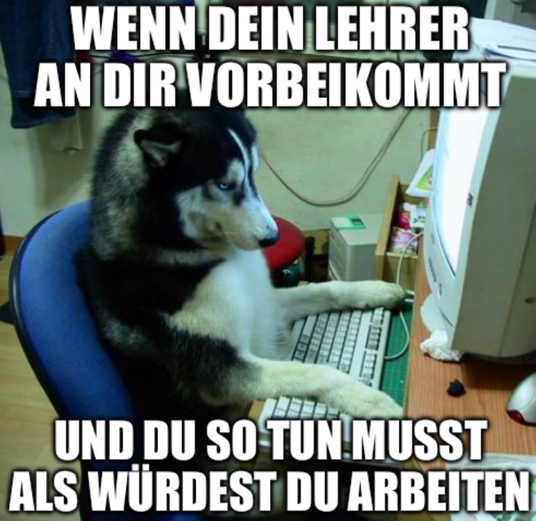 WENN DEIN LEHRER
AN DIR VORBEIKOMMT
UND DU SO TUN MUSST
ALS WÜRDEST DU ARBEITEN