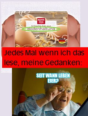 REWE
6 frische Eier aus
Bodenhaltuna
Jedes Mal wenn ich das
lese, meine Gedanken:
SEIT WANN LEBEN
EIER?