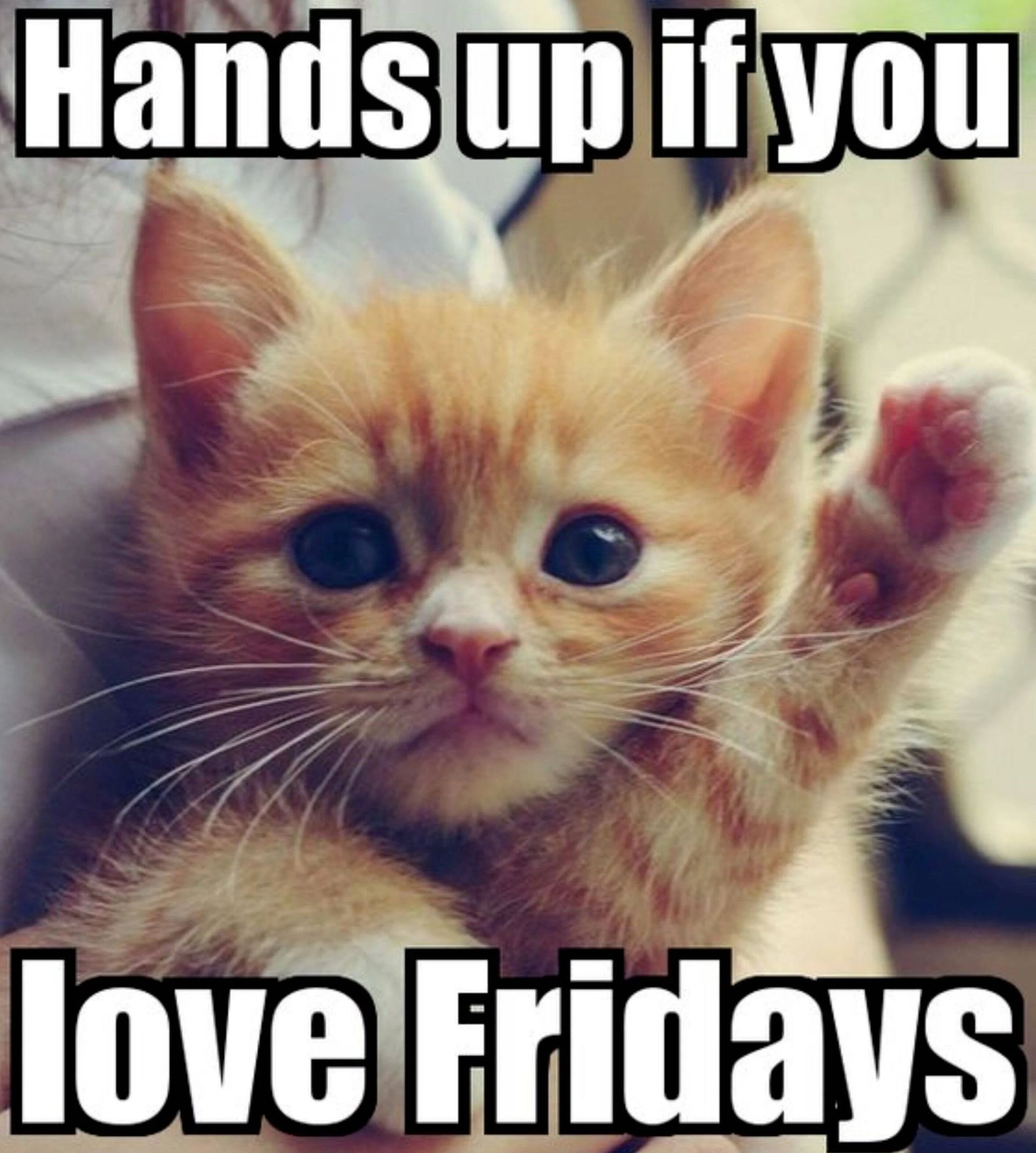 Hands up if you
love Fridays