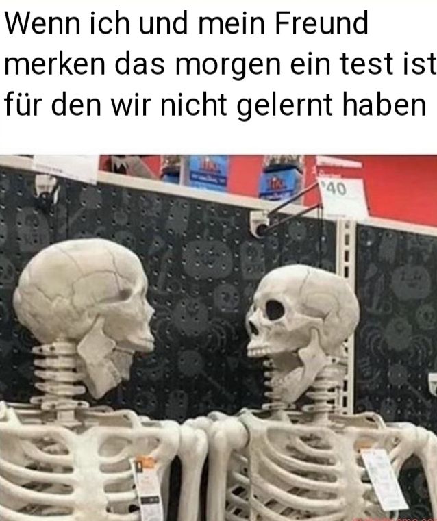 Wenn ich und mein Freund
merken das morgen ein test ist
für den wir nicht gelernt haben
40