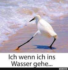 Ich wenn ich ins
Wasser gehe...
DERESTE