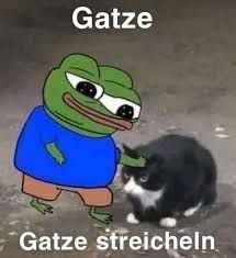 Gatze
Gatze streicheln