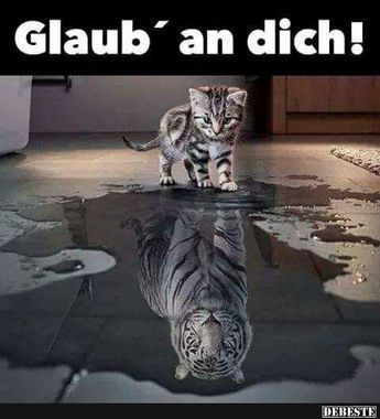 Glaub' an dich!
DEBESTE