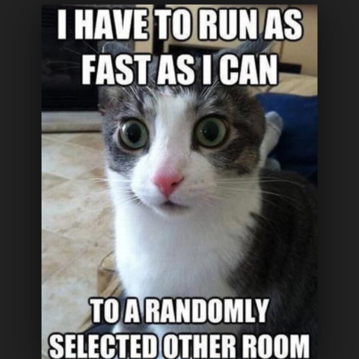 I HAVE TO RUN AS
FAST AS I CAN
TO A RANDOMLY
SELECTED OTHER ROOM